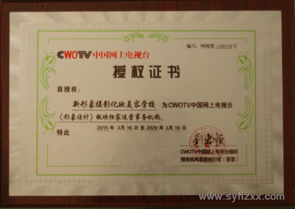 网上电视台独家板块荣誉证书