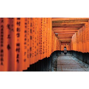 南阳摄影机构-让你的照片更有“观感”的9个技巧